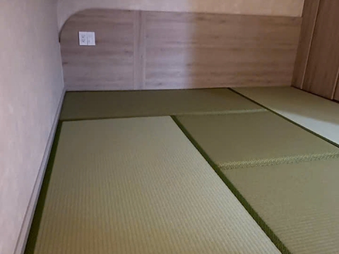 Thảm chiếu Tatami mã WPG1 tại villa 