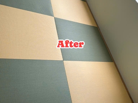 Sàn chiếu Tatami hiện đại mã HPY3, HPG2